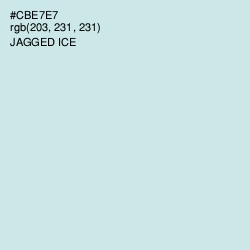 #CBE7E7 - Jagged Ice Color Image